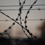 barbed-wire