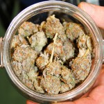 medical-cannabis